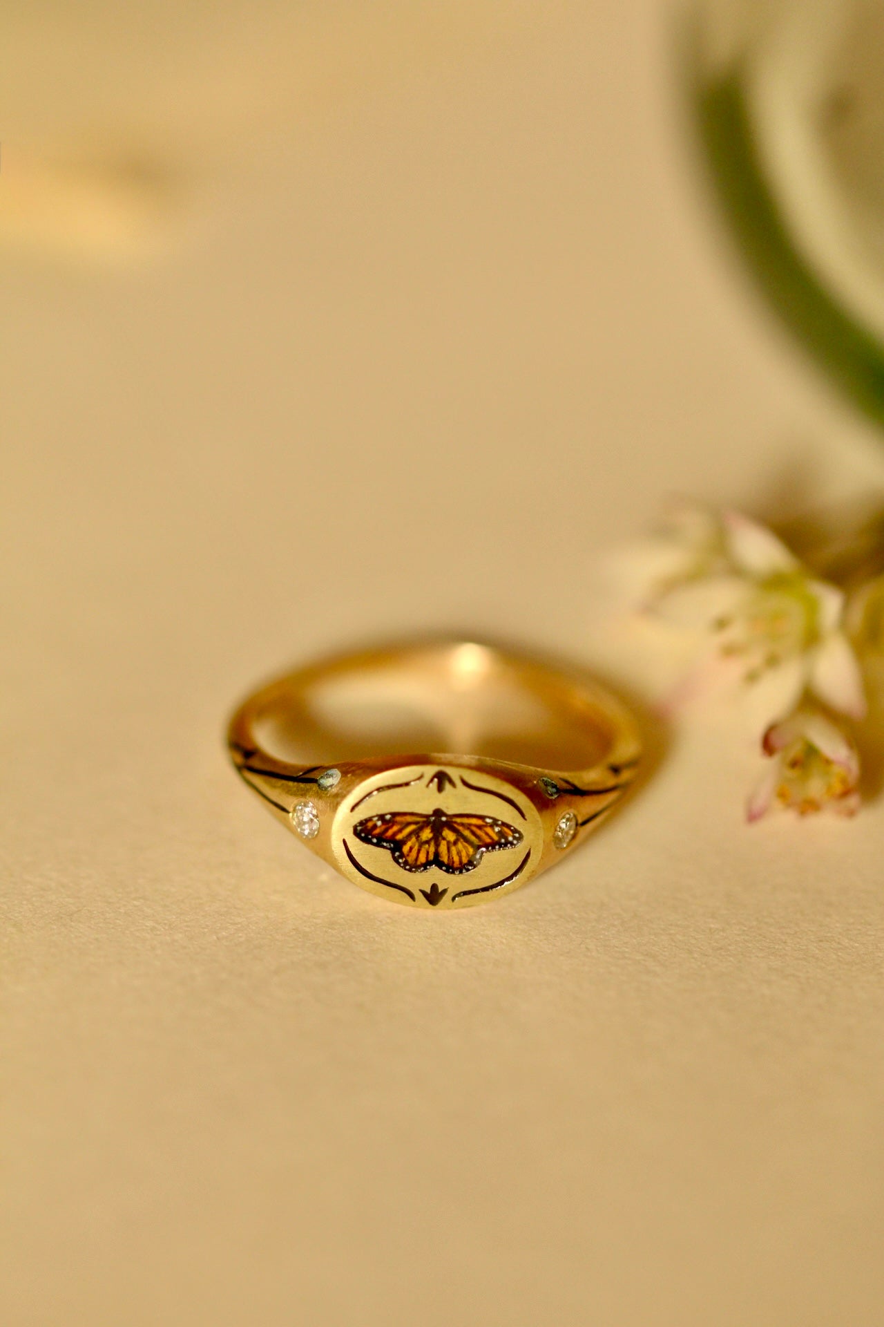 Monarch butterfly signet ring in solid 14k gold