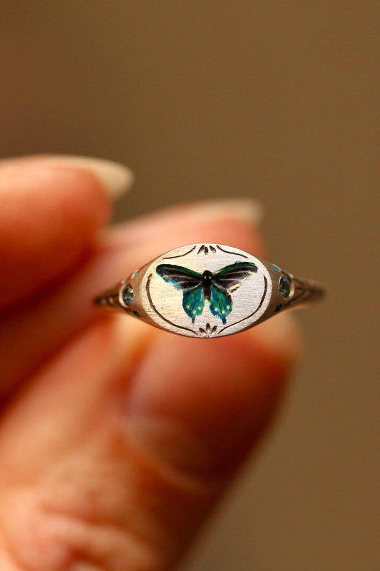 Pipevine swallowtail signet ring- US size 6 3/4