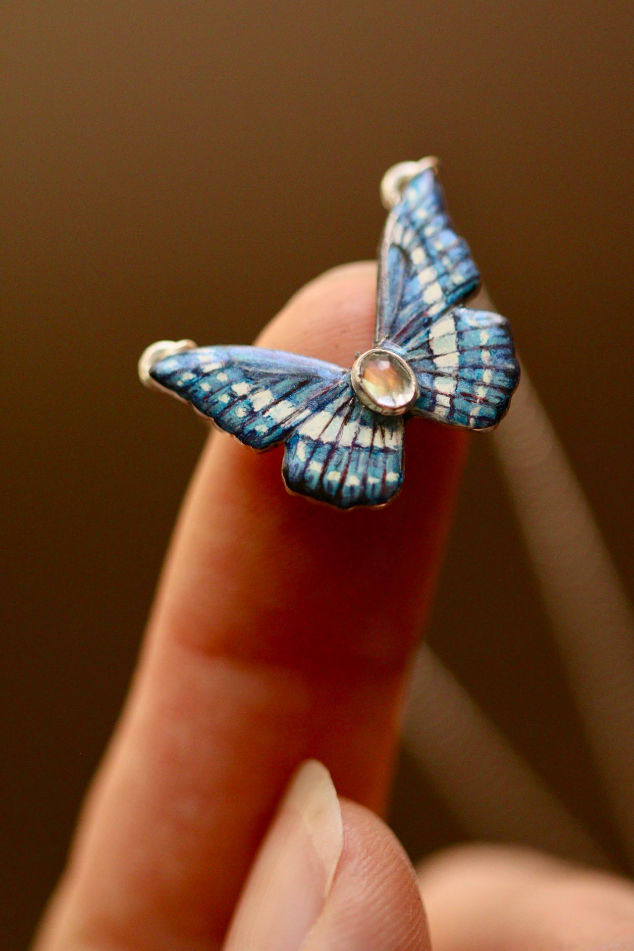 Blue morpho butterfly