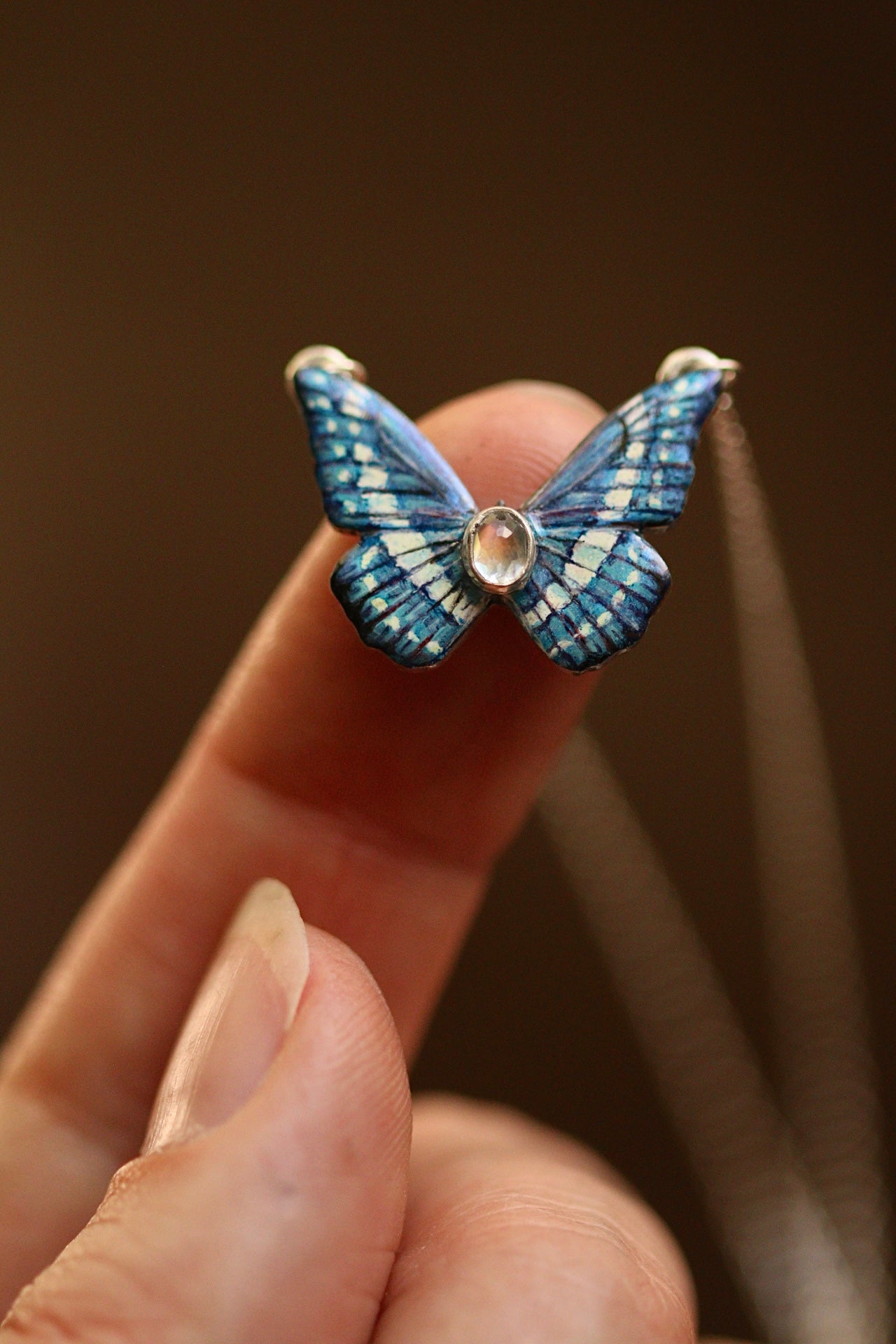 Blue morpho butterfly