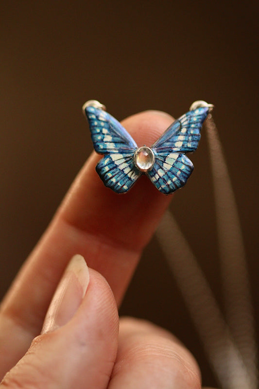 Blue morpho butterfly