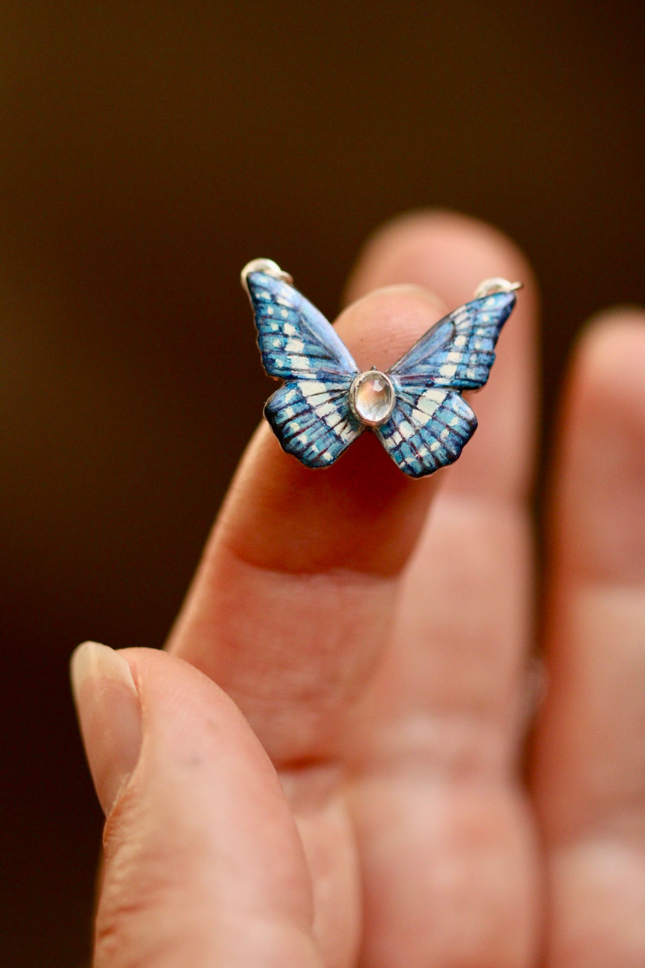 Blue morpho butterfly