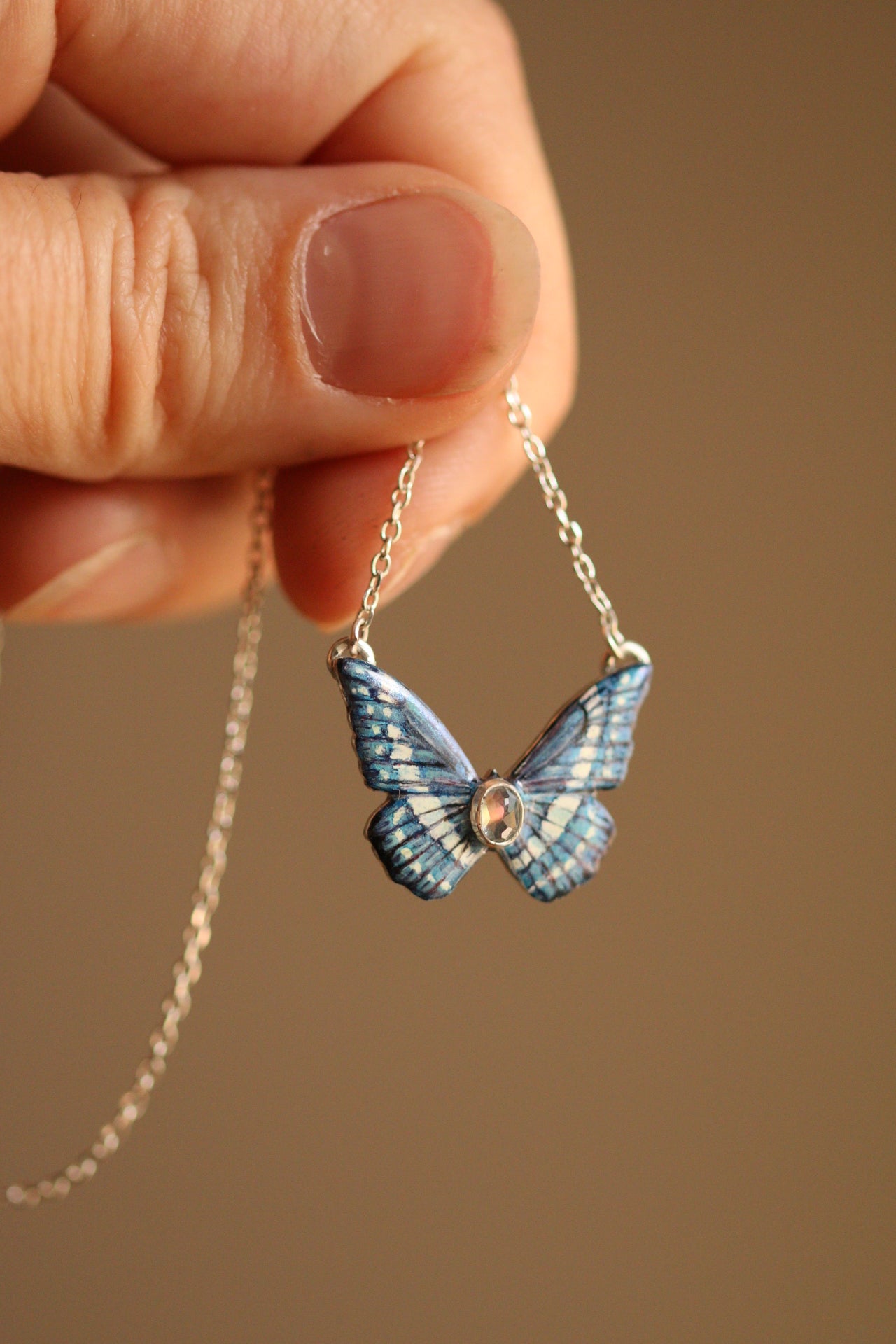 Blue morpho butterfly
