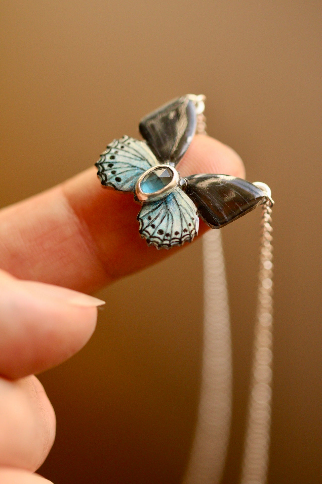 Blue admiral butterfly