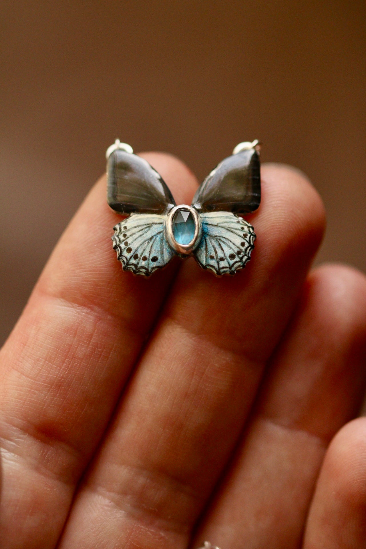 Blue admiral butterfly