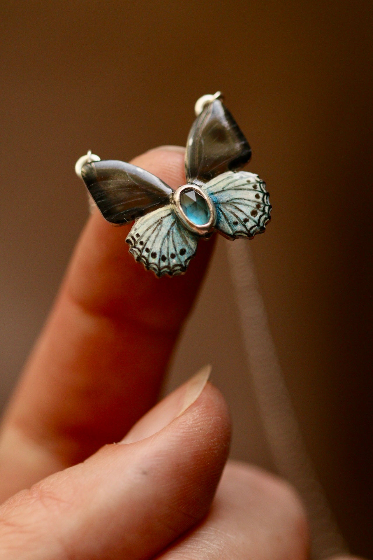 Blue admiral butterfly