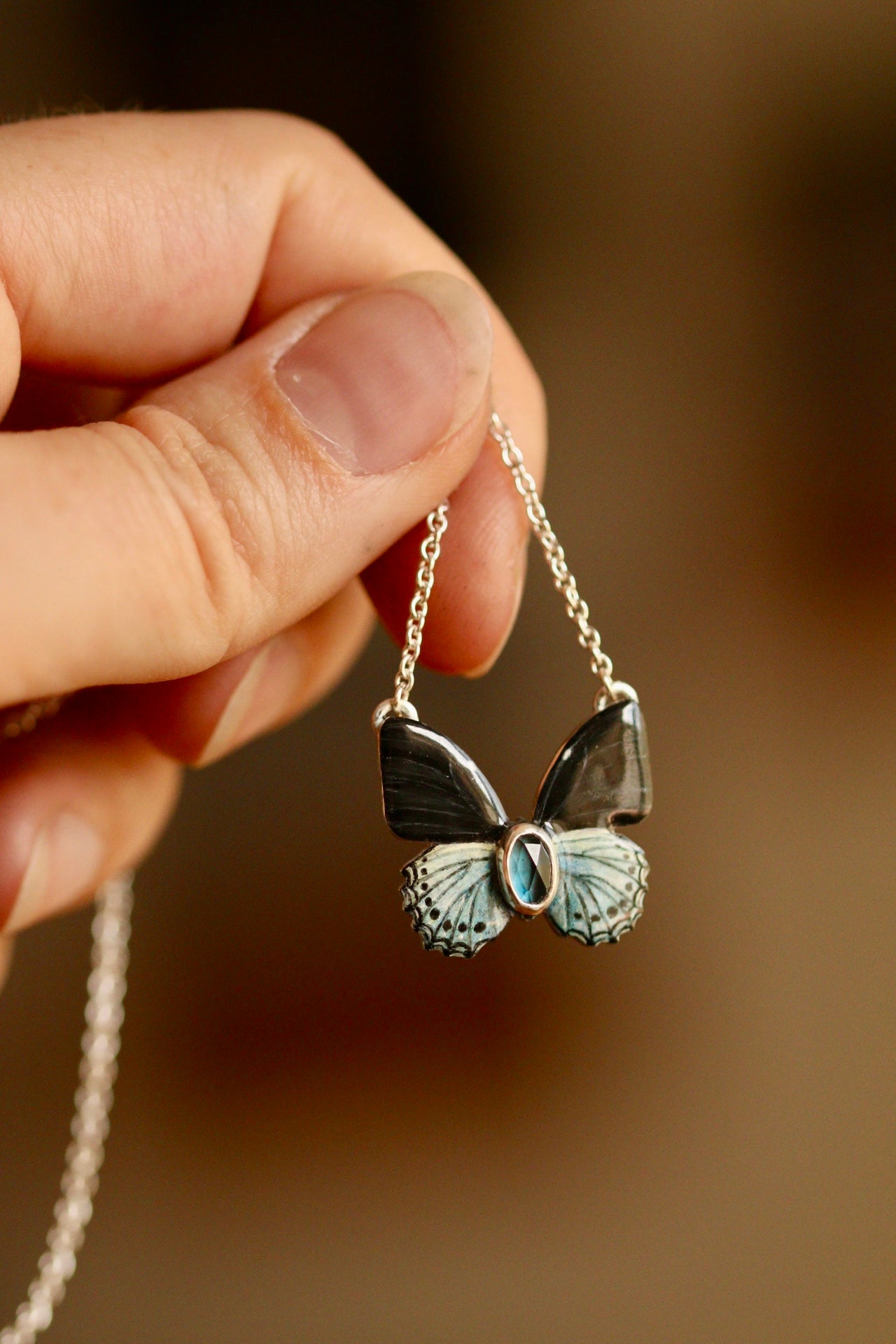 Blue admiral butterfly