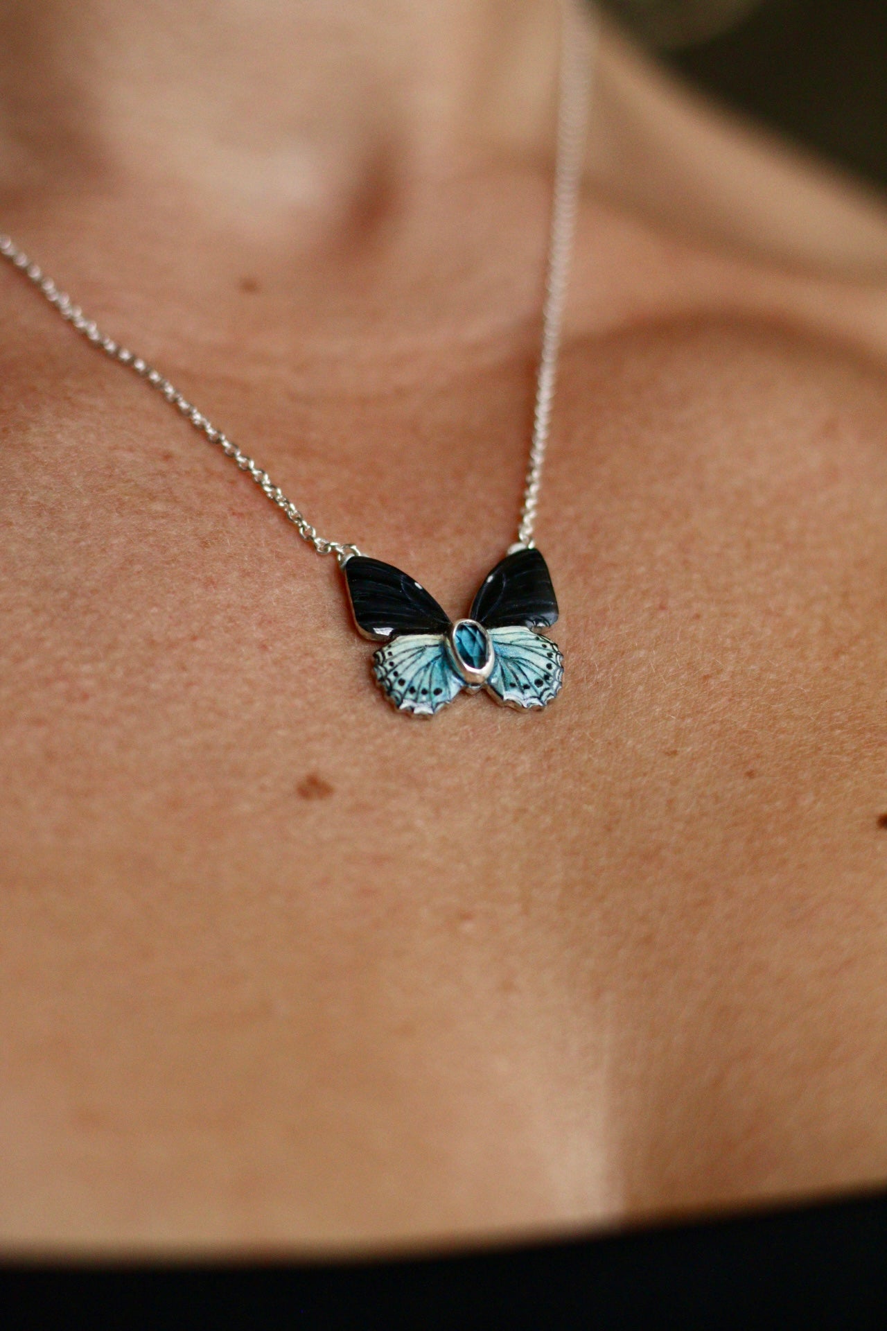 Blue admiral butterfly