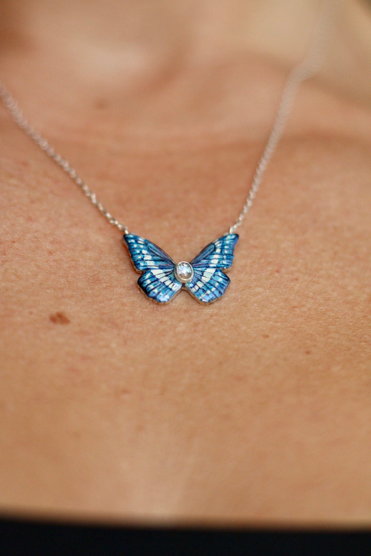 Blue morpho butterfly